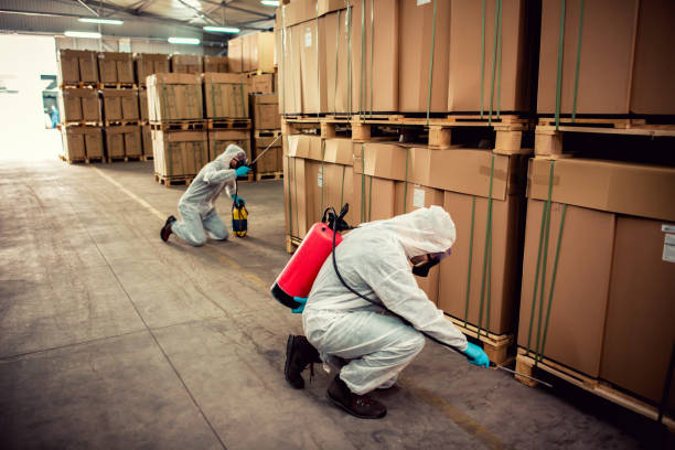 Best Residential Pest Control  in Newton, NJ