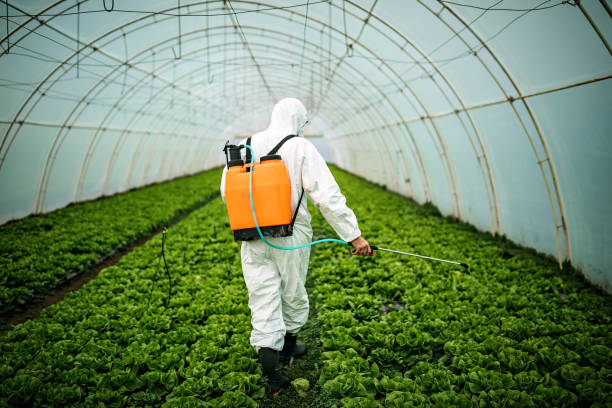 Best Local Pest Control Services  in Newton, NJ