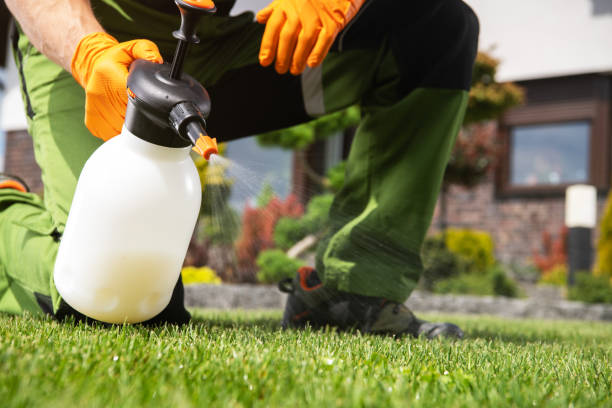 Best Best Pest Control Companies  in Newton, NJ