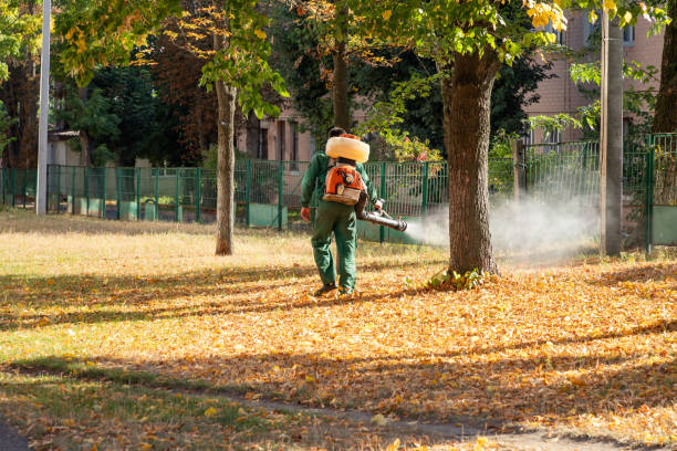 Best Residential Pest Control  in Newton, NJ