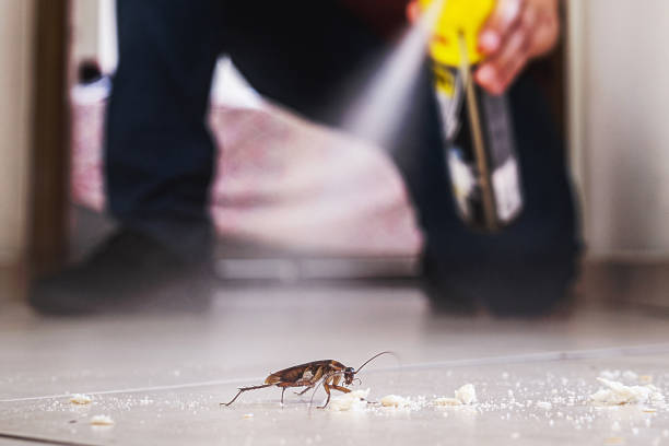 Best Pest Inspection Near Me  in Newton, NJ