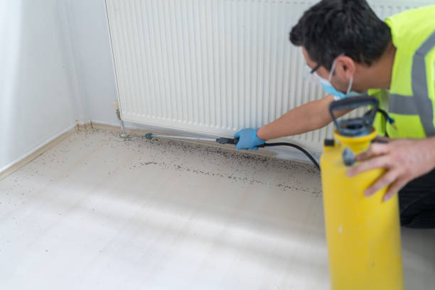 Best Ant Control Services  in Newton, NJ