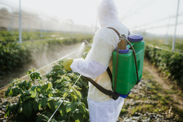 Best Pest Control Near Me  in Newton, NJ
